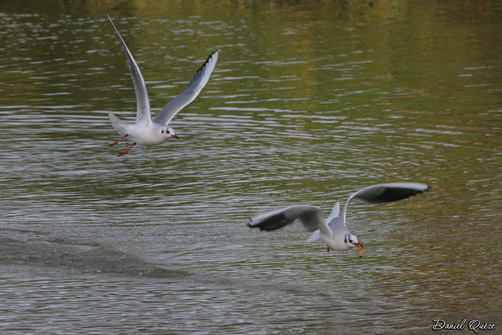 poursuite (2)