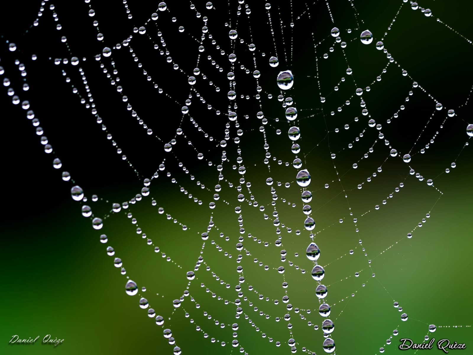 perles naturelles